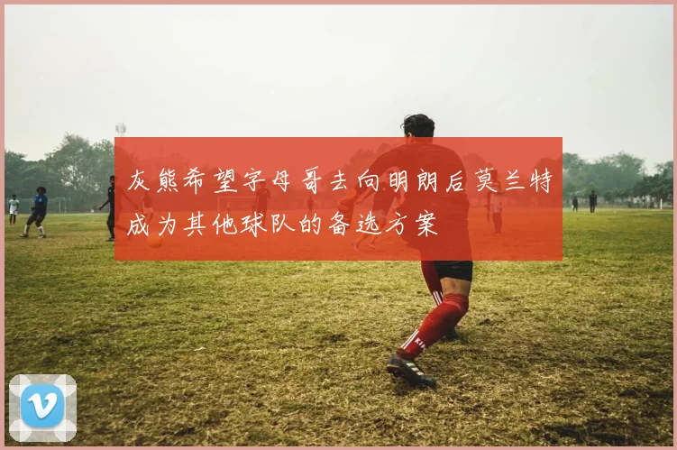 灰熊希望字母哥去向明朗后莫兰特成为其他球队的备选方案