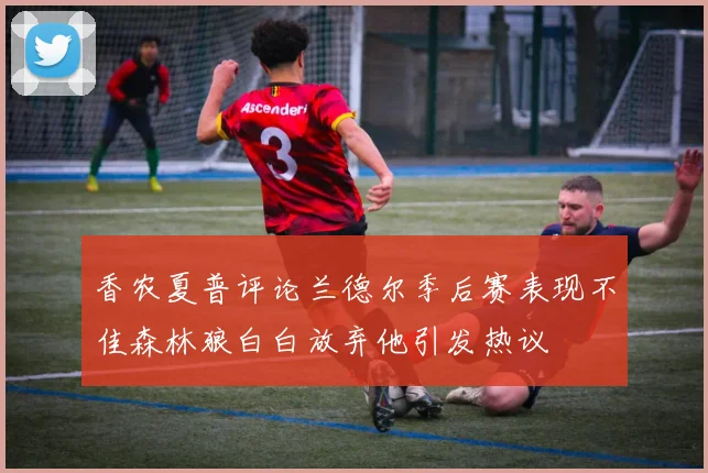 香农夏普评论兰德尔季后赛表现不佳森林狼白白放弃他引发热议